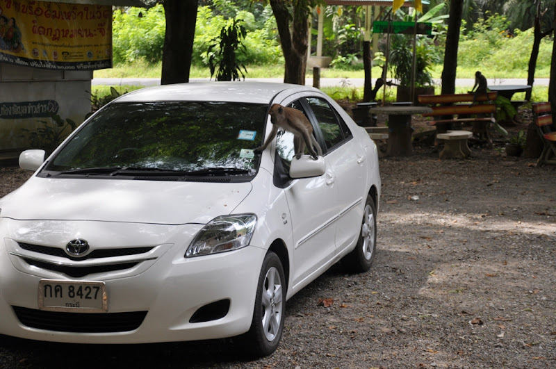 Ноябрь 2009 Поездка в Тай! Ноябрь 2009 Поездка в Тай!