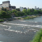 朝の鴨川。
とても良いお天気で、5月というのに夏のような日差しでした。