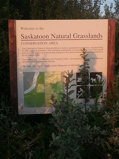 Saskatoon Natural Grasslands Conservation Area