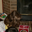 IMG_3495.JPG