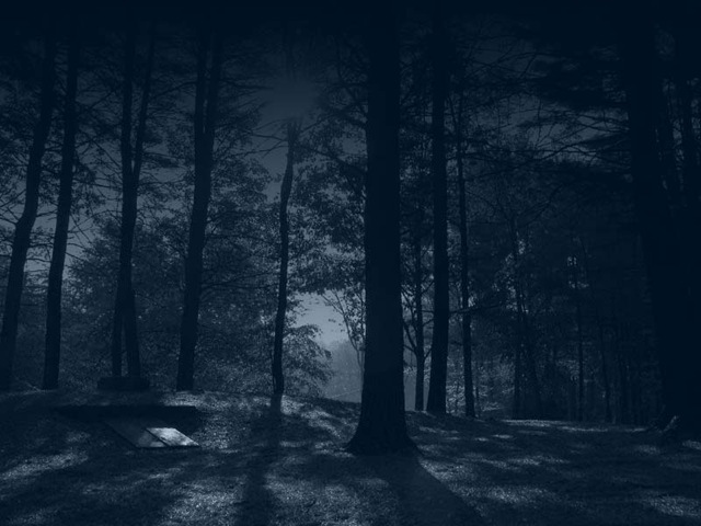 [dark_forest_by_sonnenradbanner[3].jpg]
