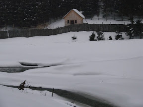 DSC00290.JPG