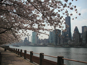 United Nations from Roosevelt Island around Spring