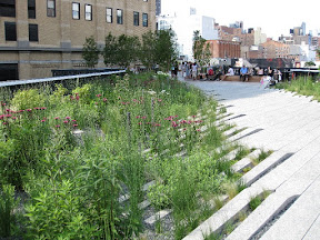 The High Line Park