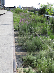 The High Line Park