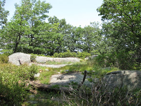 Bear Mountain Trails