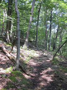 Bear Mountain Trails