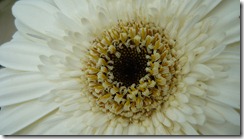 P1120604