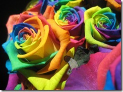 Copyrighted_Image_Reuse_Prohibited_772511