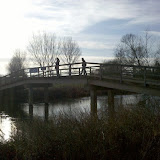 Buscot