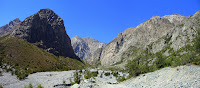 P1000043a.JPG (Las Nieves, Libertador General Bernardo OʼHiggins, Chile) Photo