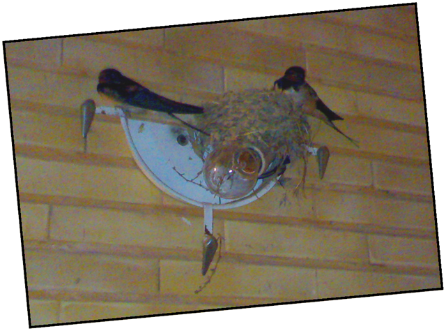 [Picture7[2].png]