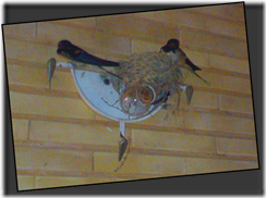 Picture7