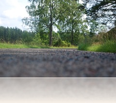 bild (293)