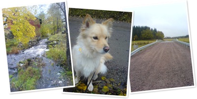 Visa Promenad hagby runt 2009 oktober 19