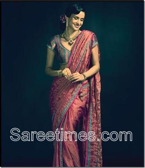 Gul-Panag-Maroon-saree