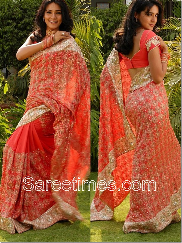 Neha_Julka_Designer_Saree