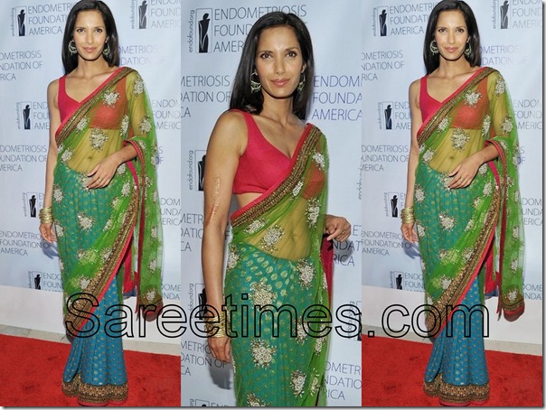 Padma_Lakshmi_Embroidery_Saree