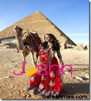 Celina_Jaitley_Designer_S (11)