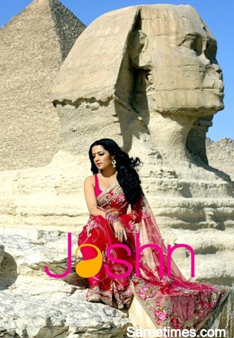 [Celina_Jaitley_Designer_Saree (4)[4].jpg]
