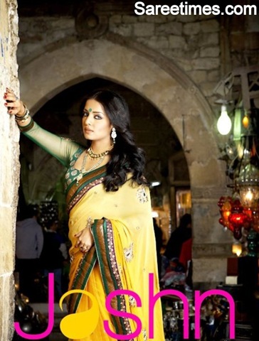 [Celina_Jaitley_Designer_Saree (8)[4].jpg]