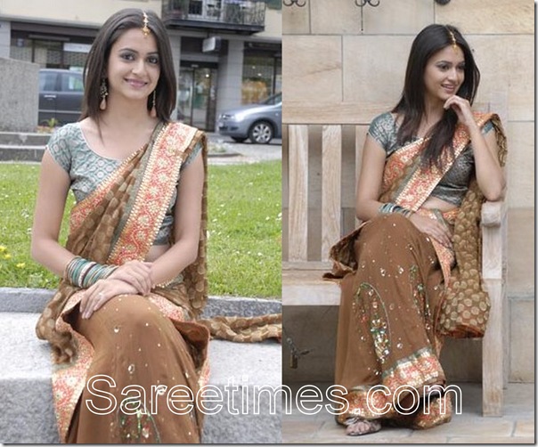 Kriti_Kharbanda_Brown_Saree