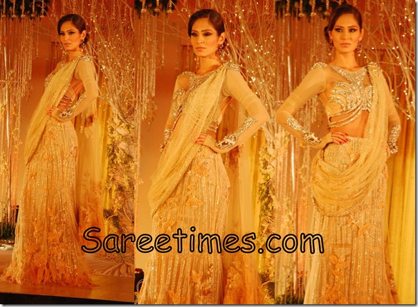 Falguni_Shane_Bridal_Saree