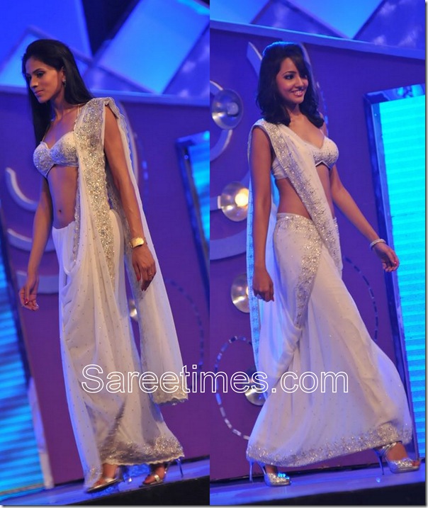 Embroidery_Saree_Drape