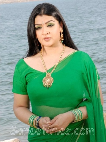 [Aarthi_Agarwal_Plain_Saree[3].jpg]