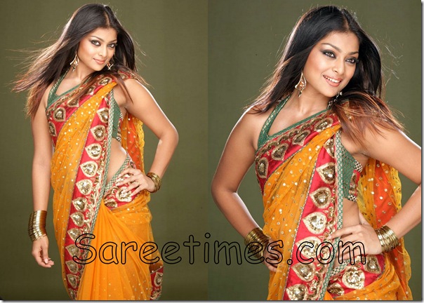 Soundarya_Embroidery_Saree