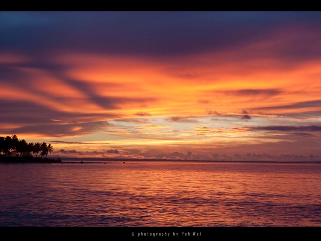 IMG_1468 copy