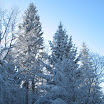 Kychová 2010