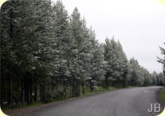 IMG_1513 IMG_1513