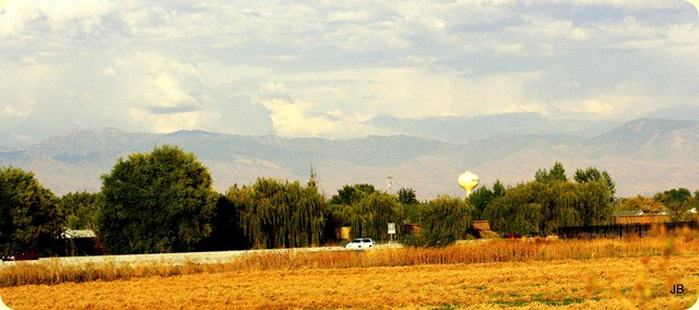 _MG_6082 _MG_6082