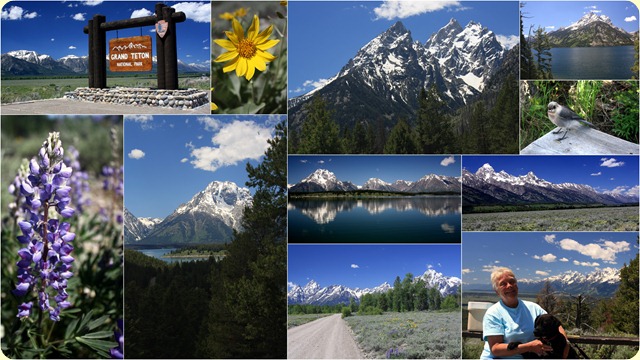 44 Grand Teton NP