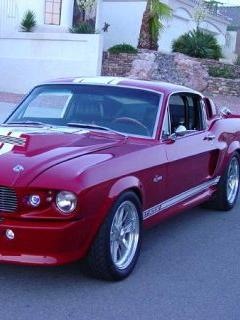 [Mustang[2].jpg]