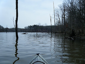 DSCF0065.kDiVSwKRIamk.jpg