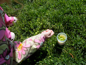 DSCF0564-2011-04-30-20-56.JPG