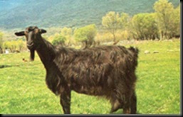 guadarrama1