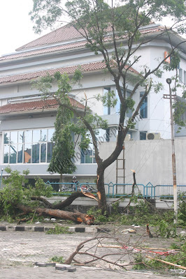 stayinjogja | ugm whirl wind