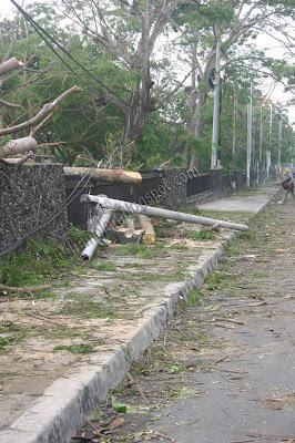 stayinjogja | ugm whirl wind