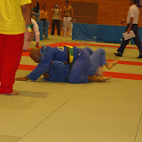 copadumaufernandoboi044.jpg