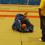 copadumaufernandoboi069.jpg