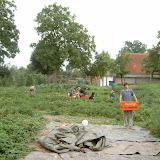 Garden, harvesting 2008