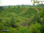 Bradeliškių piliakalnis