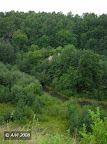 Bradeliškių malūnas