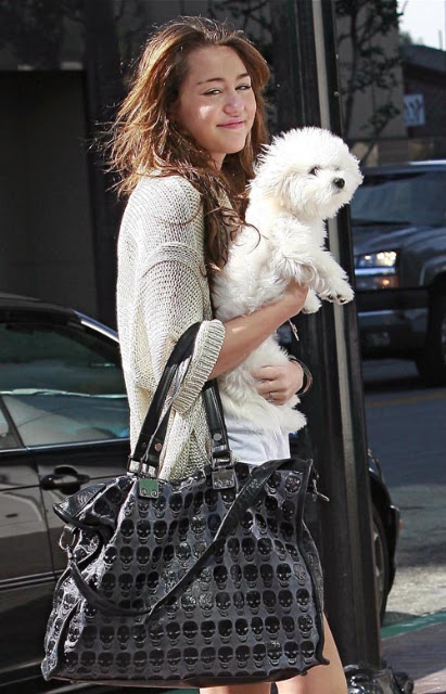 03-01-09 Burbank, CA Actress/singer Miley Cyrus and her dog arriving at the Walt Disney Studios in Burbank for a meeting... Non-Exclusive Pix by Flynet ©2009 818-307-4813 Nicolas 323-974-6007 Jay 310-466-8617 Scott