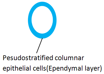 [image[4].png]