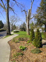 DSC00196.JPG