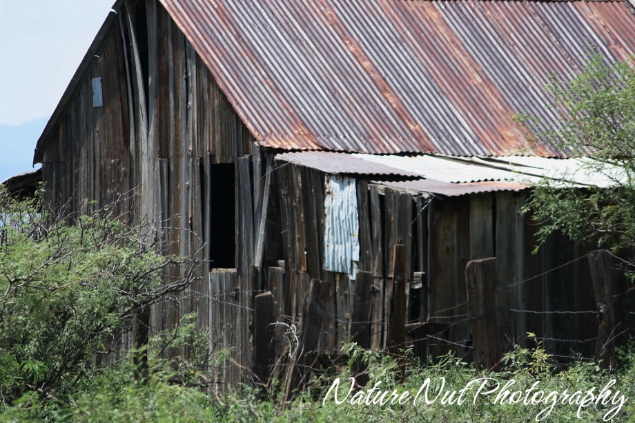 [Old Barn3[4].jpg]